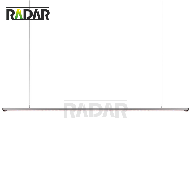 EM-X090 ETL&CE 인증 LED 성장등